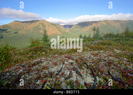 Blick Mount Albert von Mount Olivin, Gaspesie Nationalpark, Quebec Stockfoto