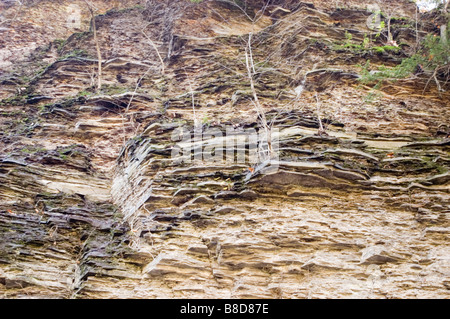 Detaillierte Ansicht der Felssedimentstruktur der Ithaca Fall-Schlucht mit schichtschiefer- und Sandsteinformationen in Ithaca, New York, USA. Stockfoto