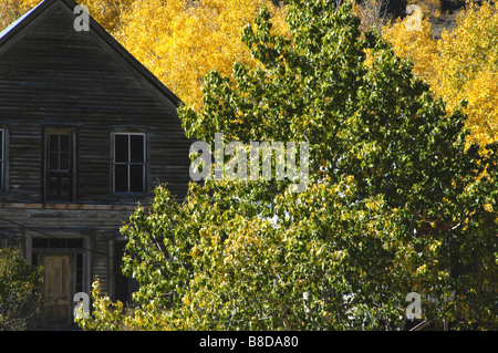 USA, Idaho, Silver City, Ghost Town in die Owyhee Mountains, Haus in der Nähe Stadt Stockfoto