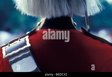 Detail der ein Soldat der Household Cavalry (Rettungsschwimmer) auf Wache an der Horse Guards, Whitehall, London, England, UK Stockfoto