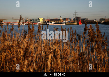 Blick über die Themse von Greenwich Halbinsel an der Mündung des Flusses Lea und Trinity Buoy Wharf in Leamouth, London Stockfoto