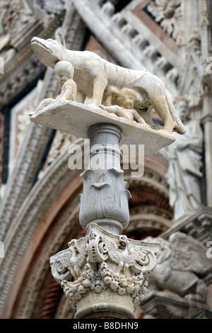 Statue von Romulus & Remus, Duomo di Siena, Siena, Toskana, Italien Stockfoto