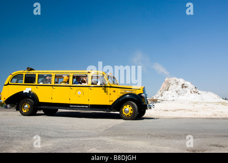 Touristen in eine gelbe Tour Bus beobachten, wie ein Geysir im Yellowstone National Park bricht Stockfoto