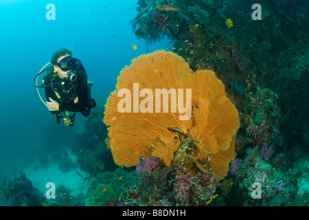 Scuba diving Stockfoto