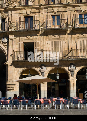 Cafe in der Plaza Mayor, Salamanca Stockfoto