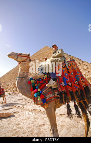 KAIRO, ÄGYPTEN. Ein junger ägyptischer Mann auf einem Kamel durch die der Cheops-Pyramide von Gizeh. 2009. Stockfoto