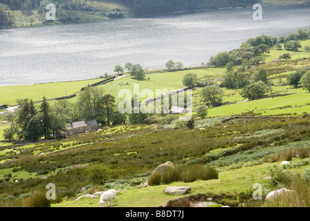 Welsh Highland trainieren im Nant y Betws Tal und Llyn y Gader vom Rhyd Ddu Weg Snowdon, Snowdonia, Nordwales Stockfoto