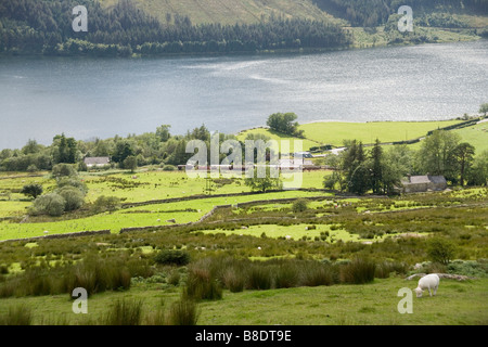 Welsh Highland trainieren im Nant y Betws Tal und Llyn y Gader vom Rhyd Ddu Weg Snowdon, Snowdonia, Nordwales Stockfoto