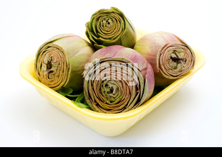 Gruppe von Artischocken Cynara Cardunculus auf weißem Hintergrund Stockfoto