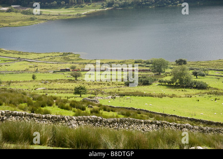 Welsh Highland trainieren im Nant y Betws Tal und Llyn y Gader vom Rhyd Ddu Weg Snowdon, Snowdonia, Nordwales Stockfoto