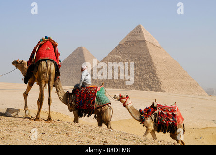 KAIRO, ÄGYPTEN. Kamele bei den Pyramiden in Gizeh. 2009. Stockfoto