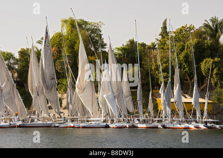 Yachten ankern im Riverside am Nil in Ägypten. Stockfoto