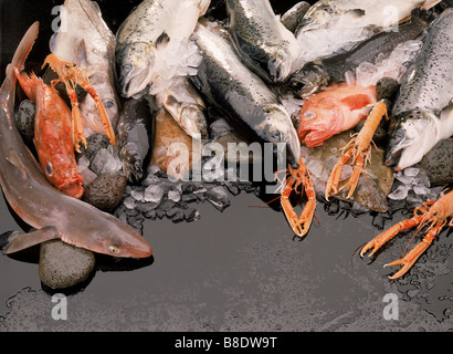 Auswahl an frisch gefangenem Fisch, Atlantic North Island Stockfoto