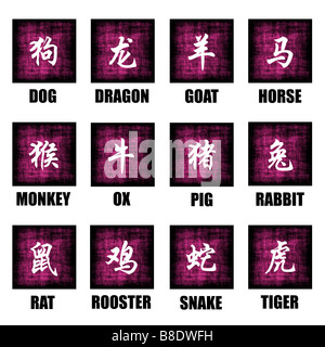 Chinesisches Sternzeichen Tiere Lunar Astrologie Kunst Set Stockfoto