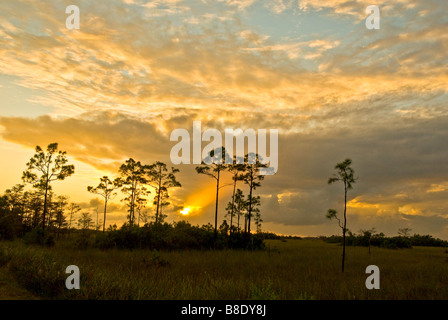 Florida Everglades Nationalpark dramatischen Sonnenuntergang in Pinelands mit Lichtstrahl durch die Wolken leuchtenden Farben Stockfoto