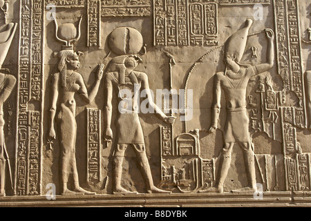 Relief und Hieroglyphen an Kom Ombo Tempel, Ägypten Stockfoto