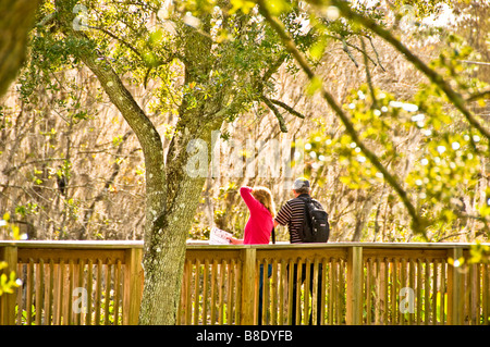 Florida Everglades paar am Boardwalk am H P Williams am Straßenrand Park Big Cypress National bewahren Florida Stockfoto