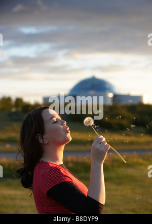 Mädchen bläst auf Löwenzahn mit der Perle im Hintergrund, Reykjavik Island Stockfoto
