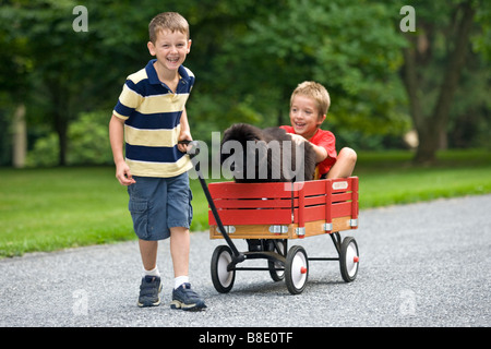 Kleinkinder mit Neufundländer Welpen Hund und roten Wagen in Wohnstraße im Sommer. Stockfoto