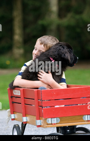 Kleinkinder mit Neufundländer Welpen Hund und roten Wagen in Wohnstraße im Sommer. Stockfoto