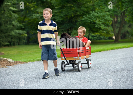 Kleinkinder mit Neufundländer Welpen Hund und roten Wagen in Wohnstraße im Sommer. Stockfoto