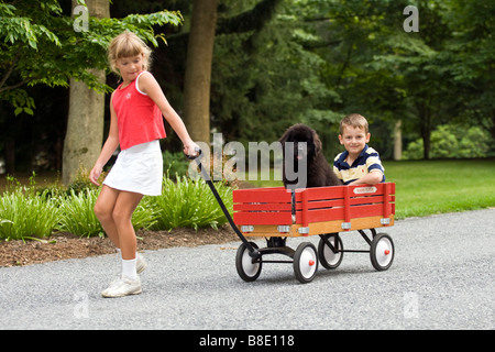 Kleinkinder mit Neufundländer Welpen Hund und roten Wagen in Wohnstraße im Sommer. Stockfoto