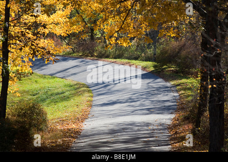 Eine leere Straße an einem Herbsttag die wandelnden Blätter und alle Farben umgeben. Stockfoto