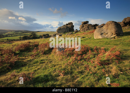 Blick vom unteren Rand Hound Tor in Richtung Hayne hinunter, Dartmoor, Devon, England, UK Stockfoto