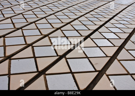 Dachziegel auf dem Sydney Opera House Stockfoto