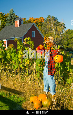 Eine Vogelscheuche Hof dekoriert mit herbstlichen Dekor und Kürbisse in der Nähe von Franconia New Hampshire USA Stockfoto