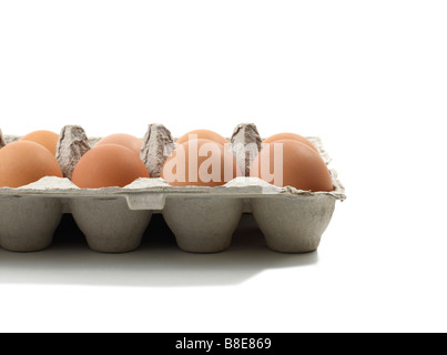 Offene Kartons für frische braune Eier Stockfoto