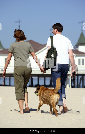 Zu zweit mit einem Hund an einem Strand, Ahlbeck, Deutschland Stockfoto