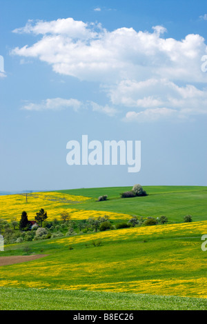 Frühling-Landschaft in der Nähe von Pitin Bile Karpaty Weißen Karpaten Berge Landschaft-Schutzgebiet Mähren Tschechien Europa Stockfoto