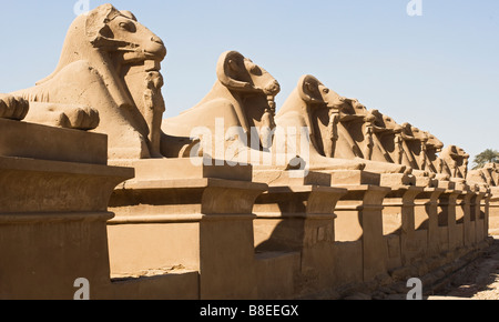 RAM-Statuen am Karnak-Tempel in Ägypten Stockfoto