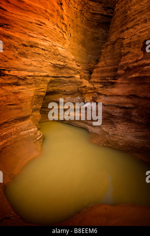 Ein kleiner Pool von Wasser in der Wüste in Ägypten Stockfoto