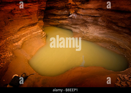 Ein kleiner Pool von Wasser in der Wüste in Ägypten Stockfoto