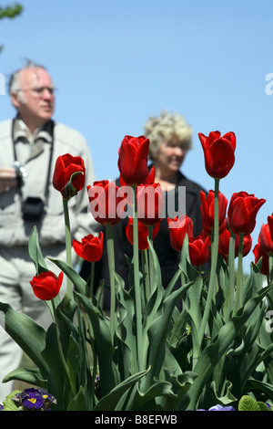 Besucher und Blumen auf der BUGA 2007 in Ronneburg, Deutschland anzeigen Stockfoto