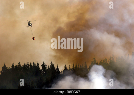 ein Hubschrauber mit Monsun Eimer kämpfen ein Bush Feuer tobt durch Wald in Neuseeland Stockfoto