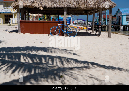 Strohgedeckten Palapa am Strand mit einem blauen Fahrrad lehnt sich an die Post und Palmen Schatten im Vordergrund in Belize. Stockfoto