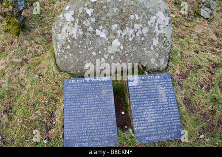 Gelert grave, Beddgelert, Snowdonia, Nordwales Stockfoto