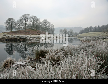 ein Blick in der Nähe von Elterwater im englischen Lake District Winterlich frostig Bäume im Wasser gespiegelt Stockfoto