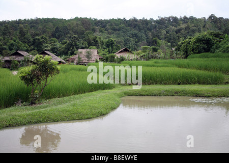 Thailand, Chiang Mai, Karen Hill Tribe Dorf Stockfoto