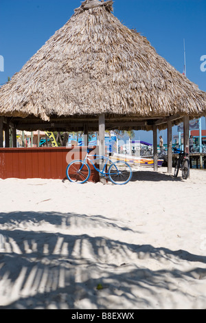 Strohgedeckten Palapa am Strand mit einem blauen Fahrrad lehnt sich an die Post und Palmen Schatten im Vordergrund in Belize. Stockfoto