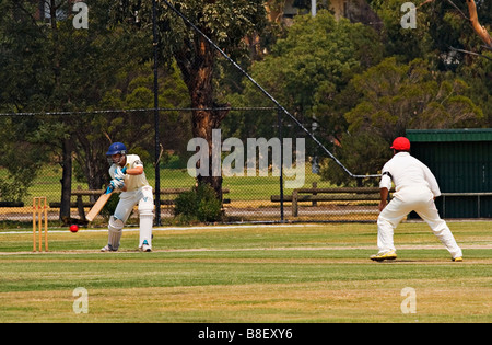 Sport-Australien / Amateur cricket in Melbourne Victoria Australien. Stockfoto