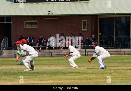 Sport-Australien / Amateur cricket in Melbourne Victoria Australien. Stockfoto