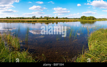 Sommer rushy Panorama Seeblick mit Wolken Reflexionen fünf Aufnahmen zusammengesetztes Bild Stockfoto