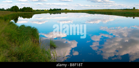 Sommer rushy Panoramablick auf den See mit Wolken Reflexionen. Vier Aufnahmen zusammengesetztes Bild. Stockfoto