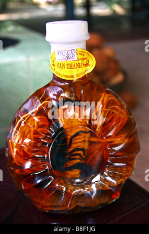 Schlangen und Skorpione in Flaschen von medizinischen Reiswein in einem Shop in My Tho. Vietnam Stockfoto