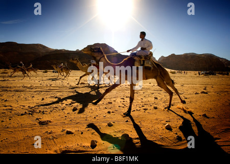 Ein Kamelrennen in der Wüste in Ägypten Stockfoto