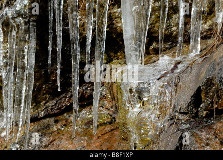 Ein Eiszapfen hängen von den Felsen in den Wäldern. Das Eis schmilzt an einem warmen Frühlingstag, Helsinki, Finnland, Europa. Stockfoto